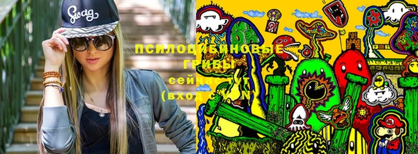 молекула духа Алексеевка